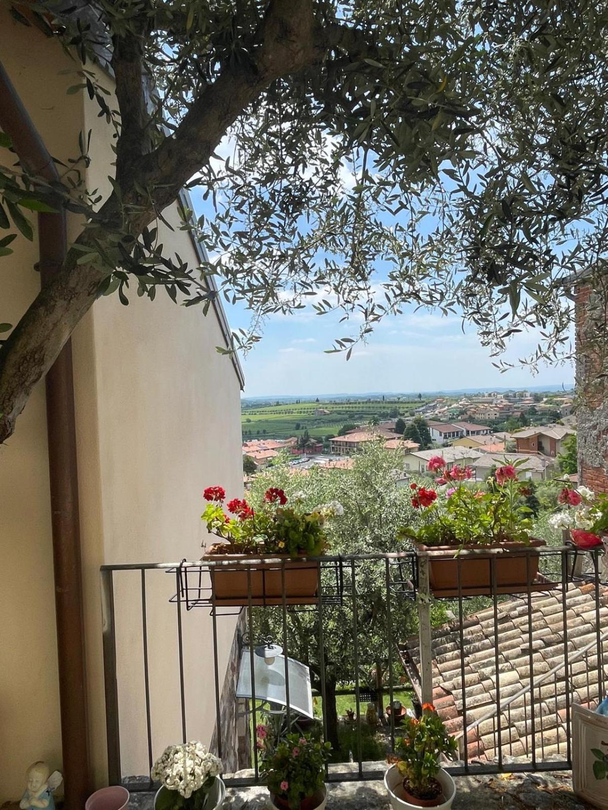 Garden Room Cavaion Veronese Exterior photo
