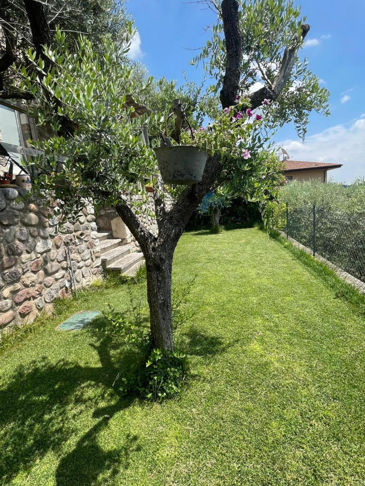 Garden Room Cavaion Veronese Exterior photo